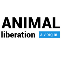 (c) Alv.org.au